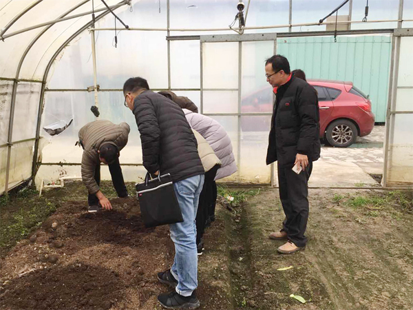 004�в˰����������ֳ������������������ר���20190116-2-1 450.jpg