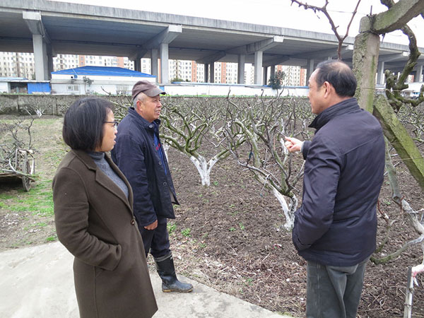 001�����չ���ں�ũҵ���߸���������ȫ��ܹ���20190212-2 450.jpg