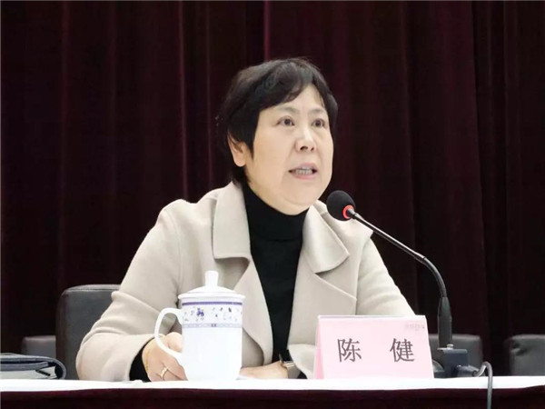 2019年经济发展的特色_数据刻录发展历史,献礼西乡经济腾飞