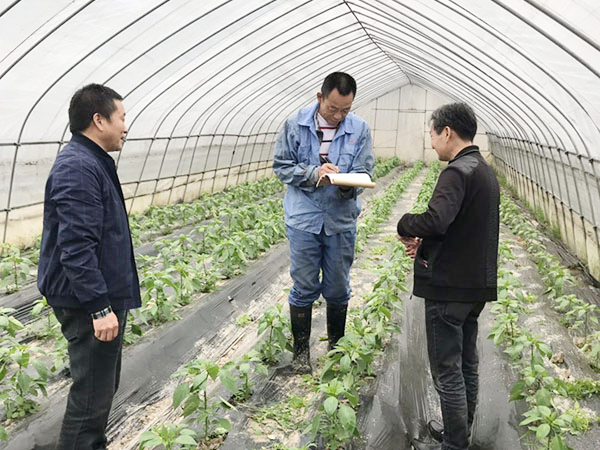 004�����չ����һ���Ͷ���ǰũҵ��ȫ�������20190430-1 450.jpg