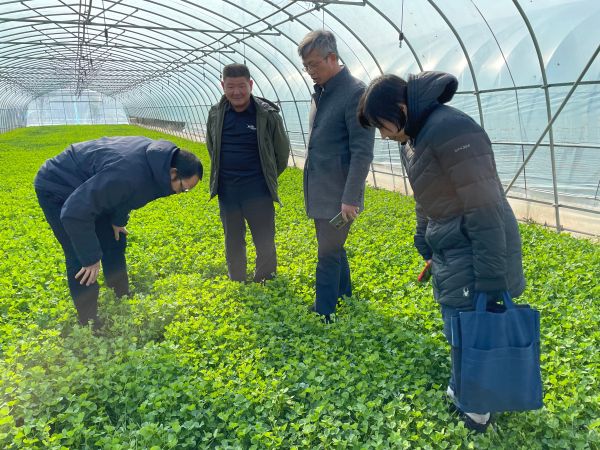 市安全中心赴闵行区开展绿色食品“双节”专项监管抽查