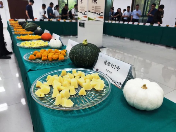 0617_173042138_629.jpg 1-1.jpg