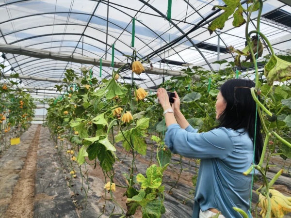 0617_173052638_147.jpg 2-1.jpg