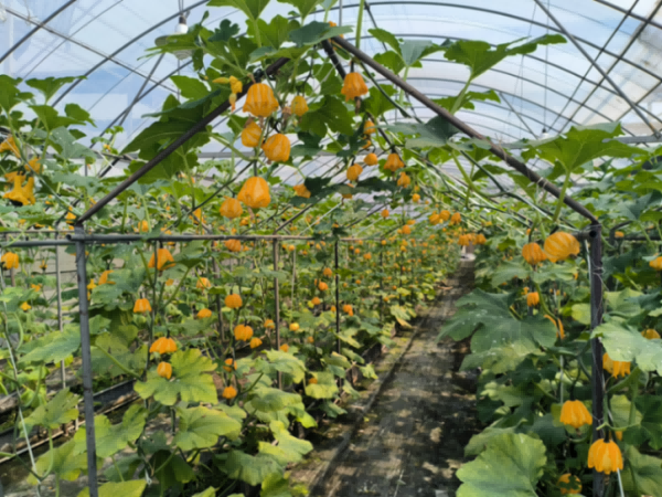 0617_173106156_901.png 3-1.png