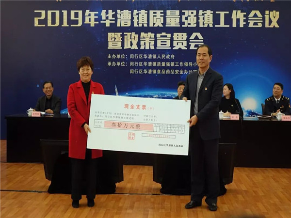 华漕镇经济总量_大虹桥华漕镇规划图(2)